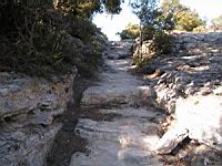 Vaucluse, Bollene, Site troglodyte de Barry, Chemin avec traces de roues de charettes (23)